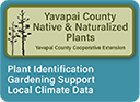 Yavapai Native and Naturalized Plants